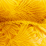 brallettes gold